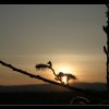 20060421_172